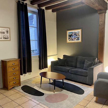 Appartement Le Coche D'Eau Auxerre Les Quais 외부 사진
